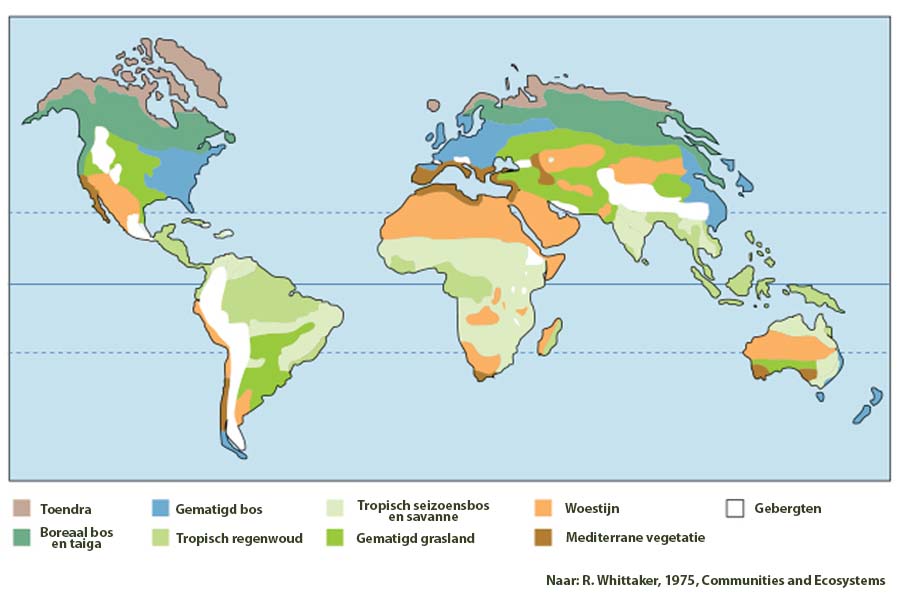 Schema waarin grote landbiomen zijn gekoppeld aan temperatuur en neerslag