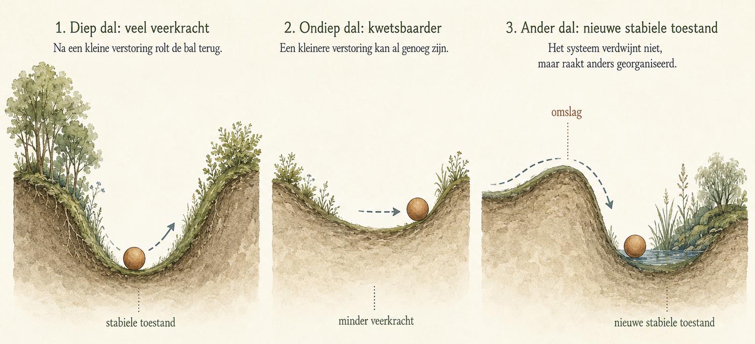 Eenvoudige illustratie van een bal in een diep dal en een bal in een ondiep dal als metafoor voor ecologische veerkracht
