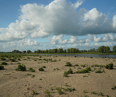 Open Nederlands landschap met zandige bodem, begroeiing en grote wolkenlucht